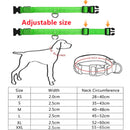 Coleira  LED - pets