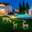 Rena de Natal de Led para Jardim